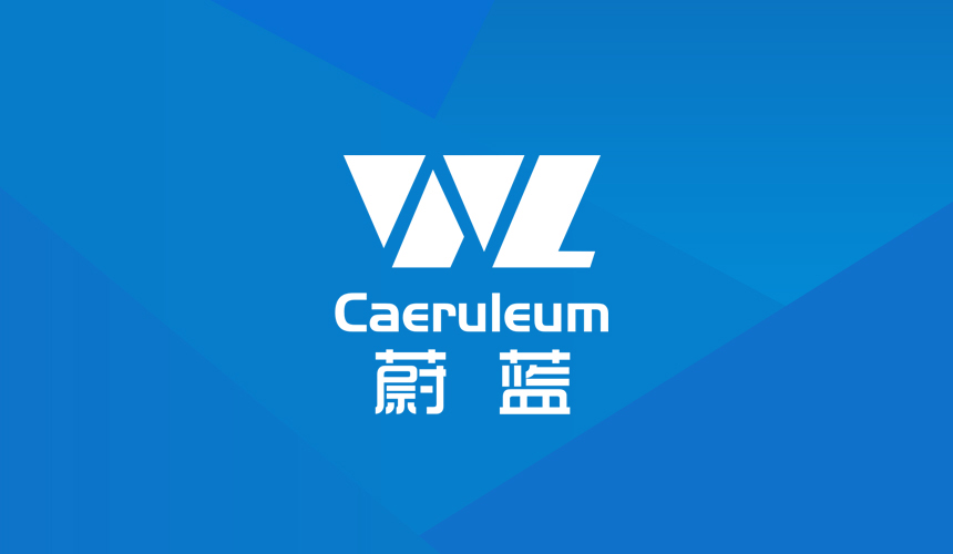 蔚蓝新能源行业标志设计欣赏-东莞天游ty8线路检测中心广告公司